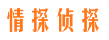 定日私人侦探